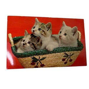 Vintage Lusterchrome Postcard Kittens in Basket Camp Wonderland Collectible u